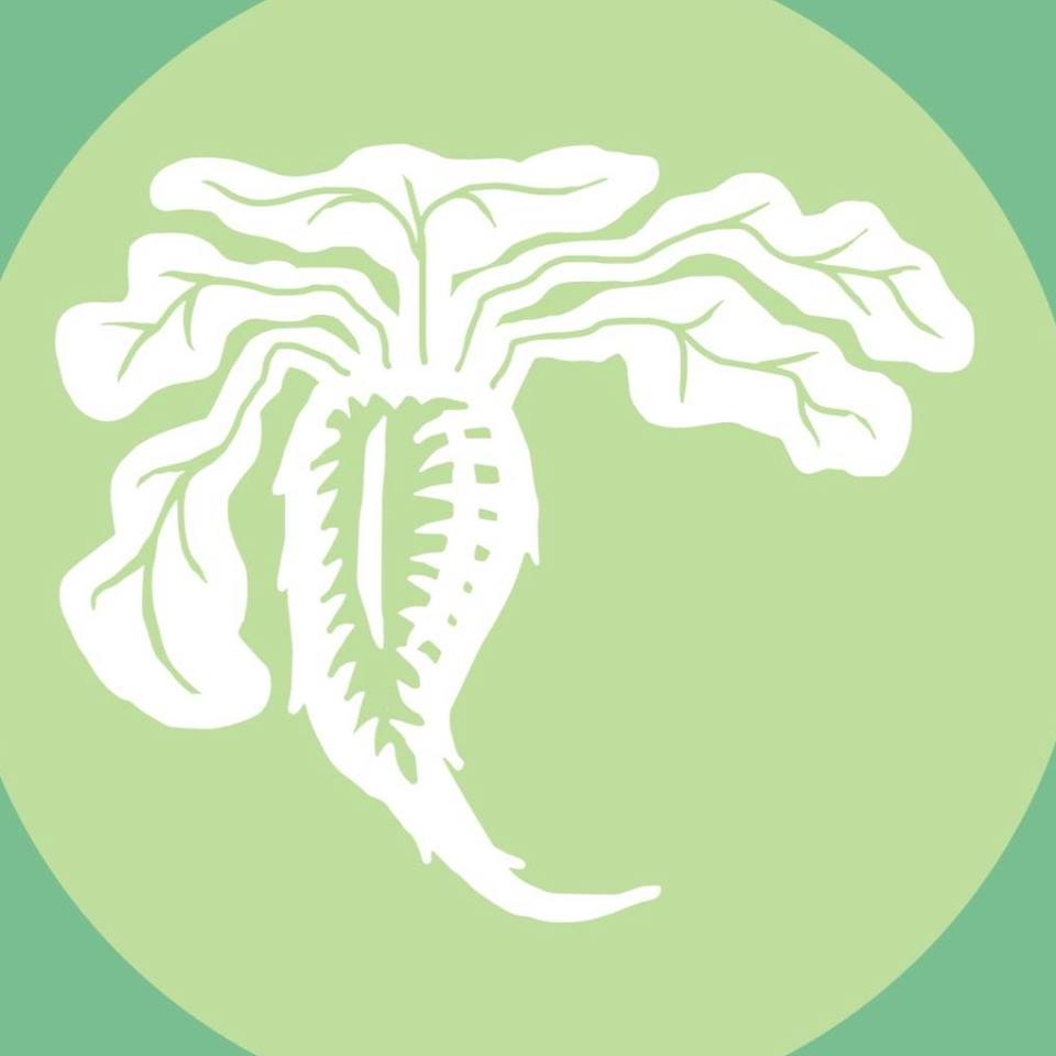 sugar beet